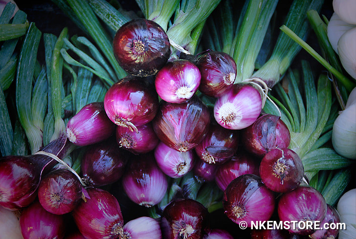 Fresh Onions (Small)