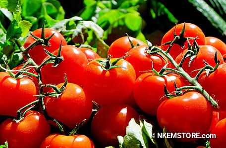 Fresh Tomatoes (Small heap)