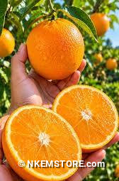 Orange (Standard portion)
